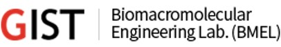 BioMacromolecular Engineering Laboratory (BMEL)